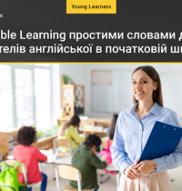Visible Learning простими словами для вчителів англійської в початковій школі